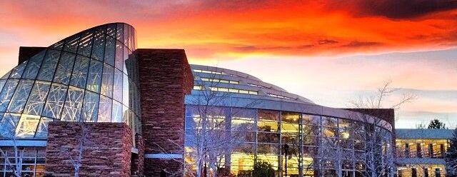 The 2025 Boulder Library Gala: Remarkable Night Creatures